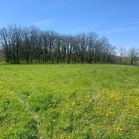 Maison Campagne Animaux & Calme Absolu
